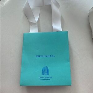 Tiffany & Co. Blue and White Luxury‎ Bag